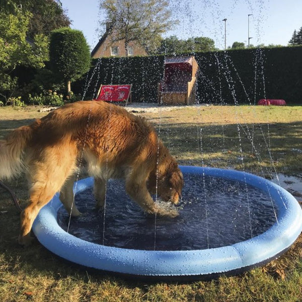Nobby Hundepool Splash mit Sprinklerfunktion