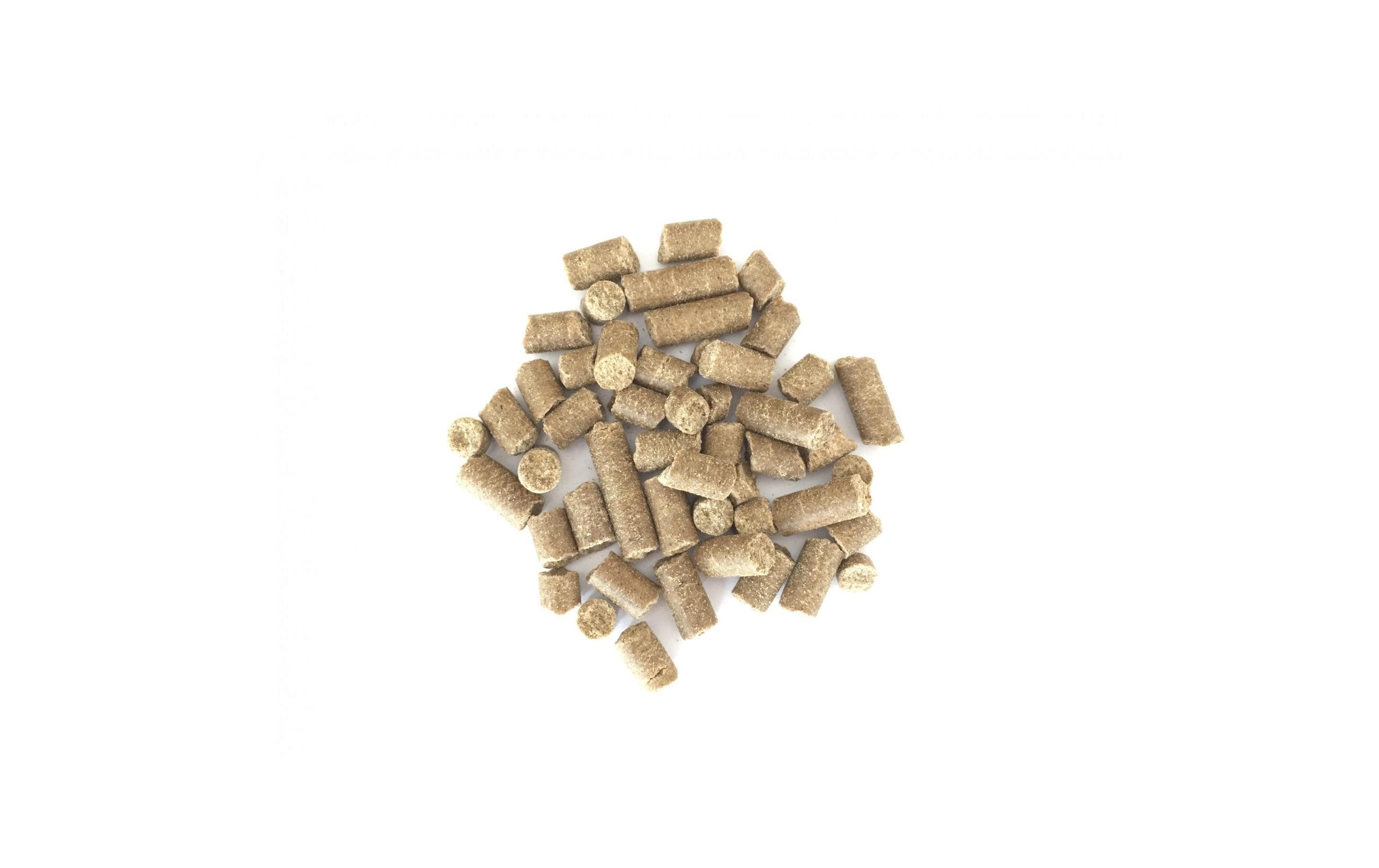 Bellfor Natural Farm Menu - hypoallergeen natvoer voor honden: met insecten, zonder granen en aardappelen, gemaakt van natuurlijke ingrediënten - 6x400g Bellfor Natural Farm Menu - hypoallergeen natvoer voor honden: met insecten, zonder granen en aardappelen, gemaakt van natuurlijke ingrediënten - 6x400g