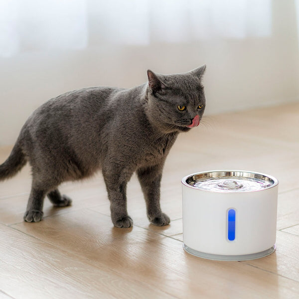 Schöner Katzen Trinkbrunnen