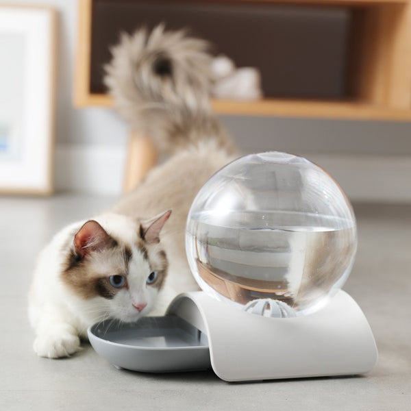 Automatic drinking fountain for cats