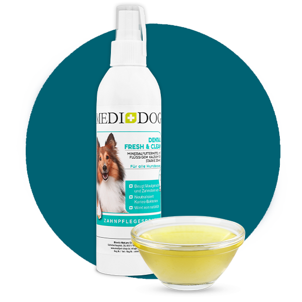 Spray fresco e pulito dentale Medidog