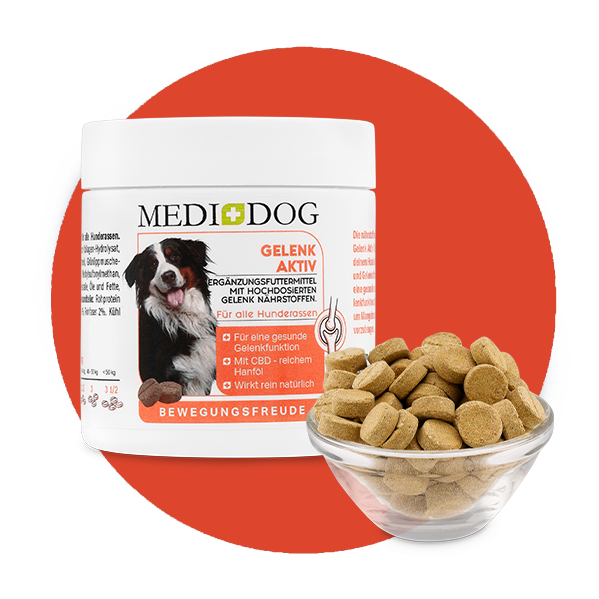 Medidog Gelenk Aktiv Tabletten