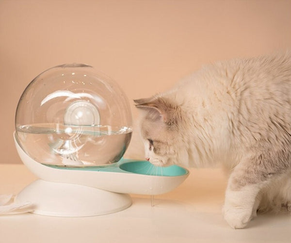 Automatischer Trinkbrunnen für Katzen und kleine Hunde