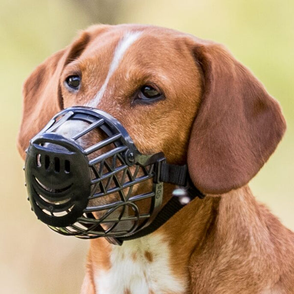 Muzzle, plastic