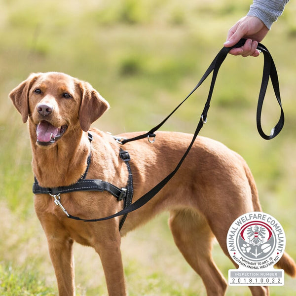 Training harness Lead'n'Walk Soft