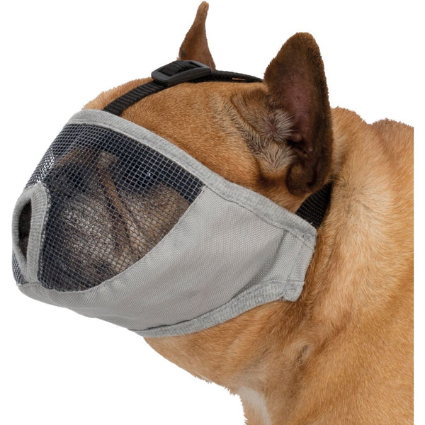 Muzzle for short-nosed breeds