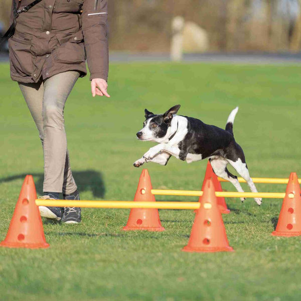 Cone Obstacle Set