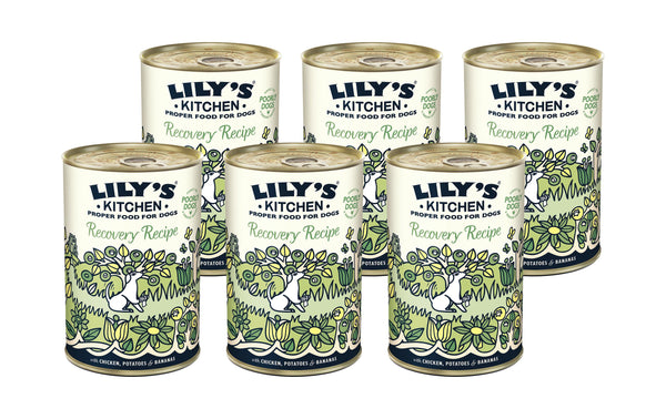 Lily's Kitchen Wet Food Recovery Recipe