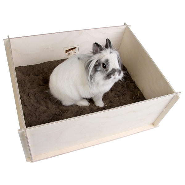 Bunny Interactive dig box