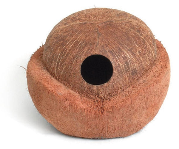 Coconut house igloo