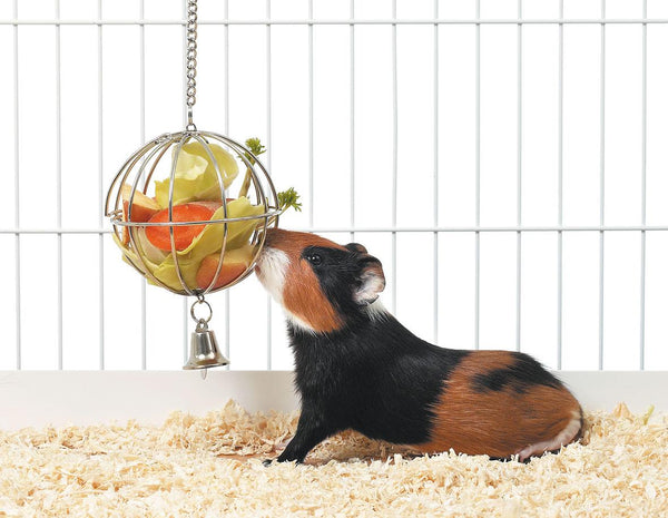 Rodent feed ball with feeding hole