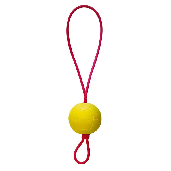 Dog toy slingshot ball Flying Star