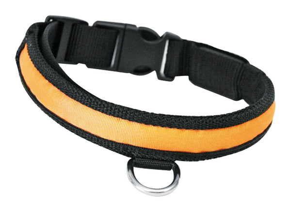 Nylon dog light collar