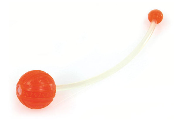 Dog Toy Light-doppio della palla da ballo