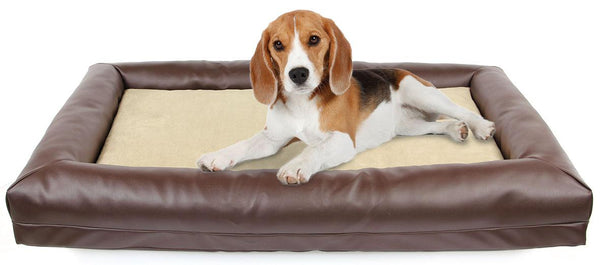 Comfort dog bed Boston