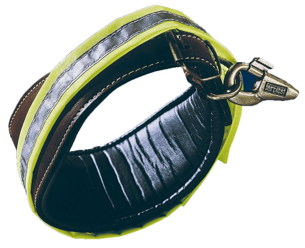 Dog light collar Reflex