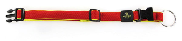 Active Dog collar