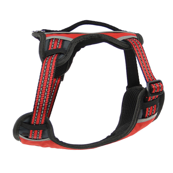 Harness Bruce reflective