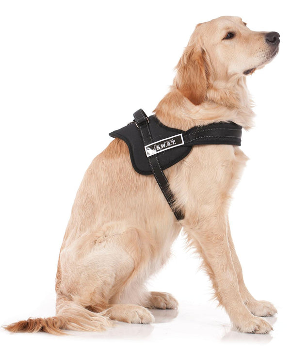 SWAT dog harness