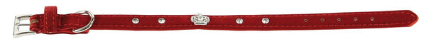 TrendLine Deluxe Dog Collar King