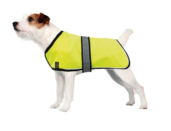dog glow coat
