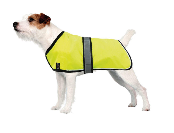 Cappotto per cane -luminoso