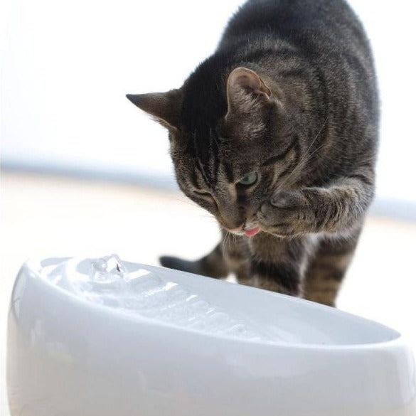 Lucky-Kitty geräuscharmer Keramik Katzenbrunnen