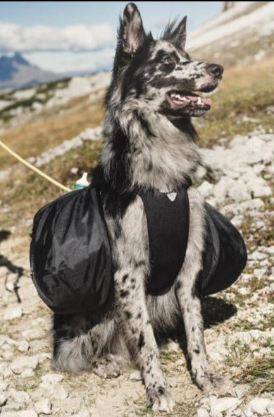 HURTTA Backpack Trail Pack incl. Active Harness