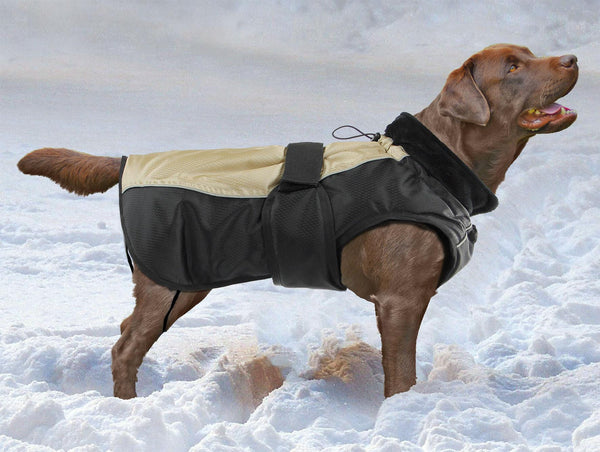 climaro winter jacket Jasper for dogs