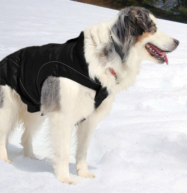 climaro dog soft shell jacket