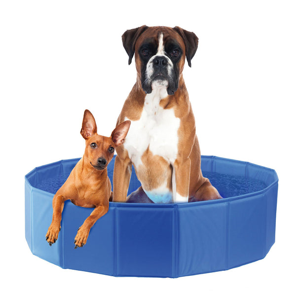 Dog pool planchi with bottom outlet valve