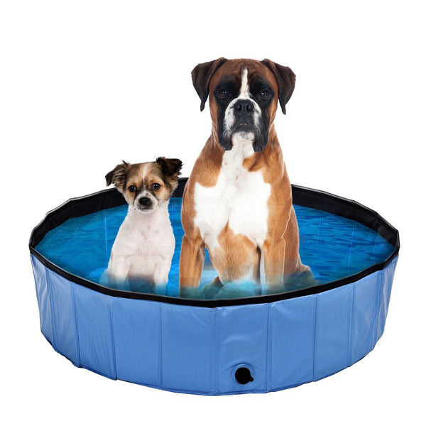Pool p.chiens Planchi M bleu