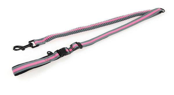 TrendLine leash elastic