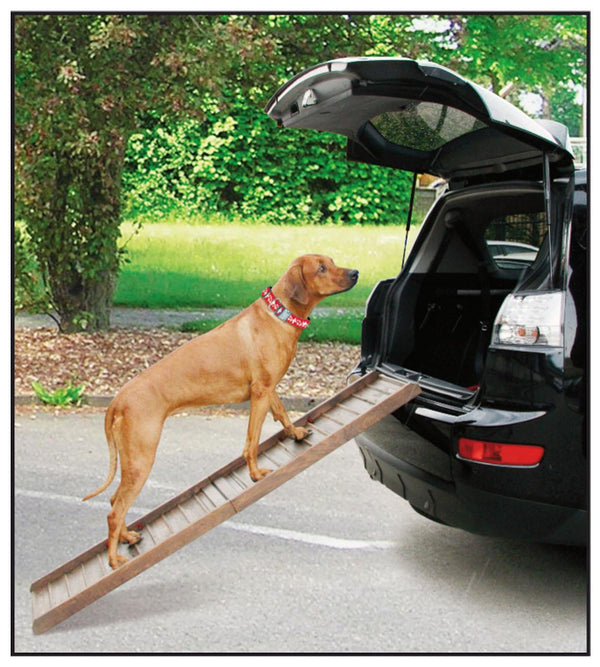 Car Dog Ramp Boarding