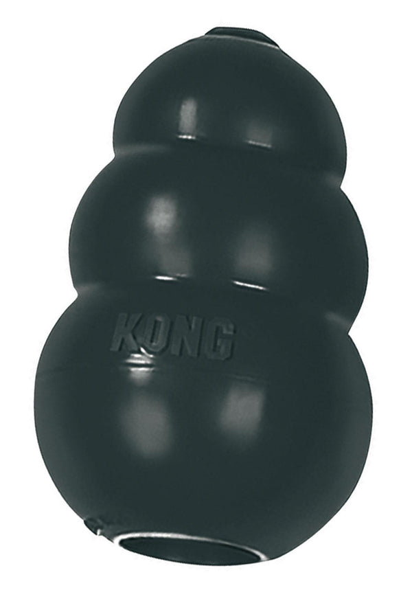 Kong Extreme dog toy