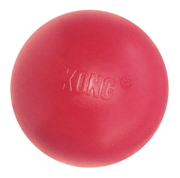 Kong Ball dog toy