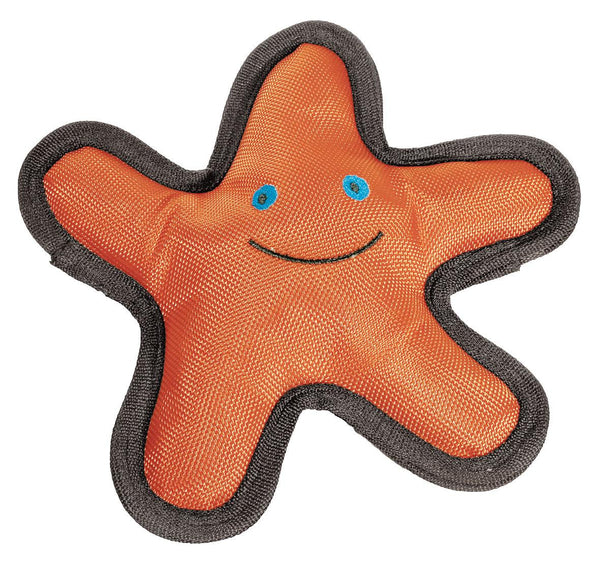 Water toy starfish