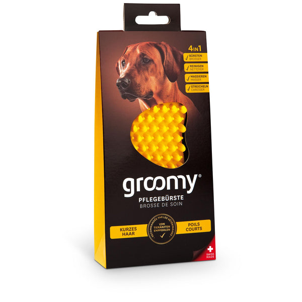 brosse spa groomy