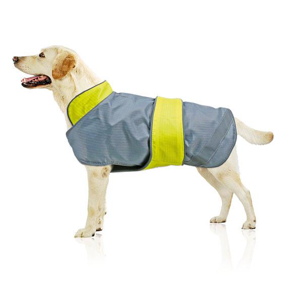 Dog protective coat all-round