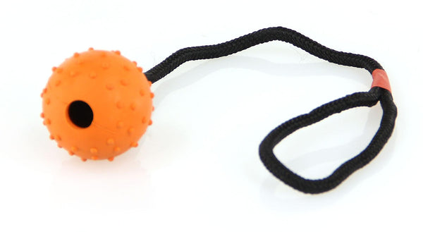 Jouet pour chien Lungo ball avec picots, sur corde