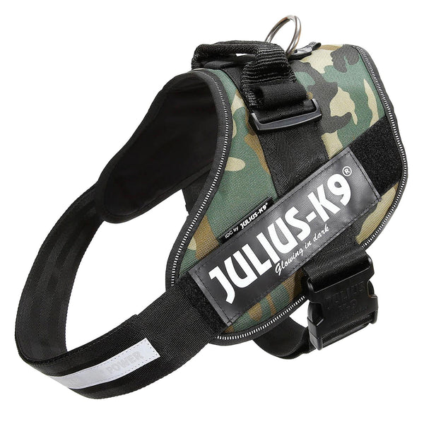 Julius-K9 IDC power harness