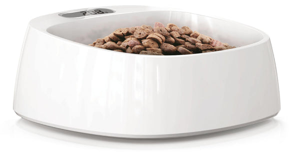 bowl scale