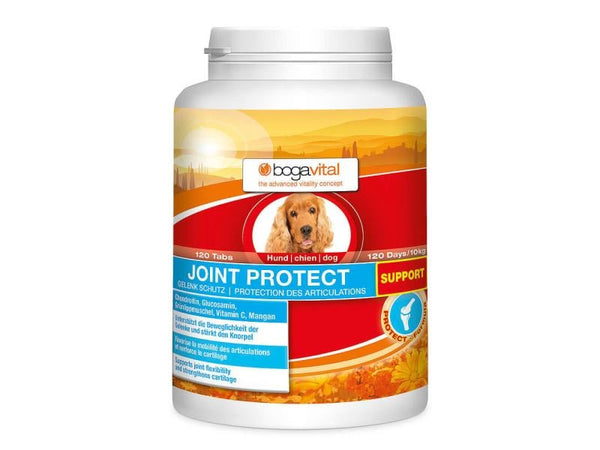 Hunde-Nahrungsergänzung Joint Protect Support 180 g