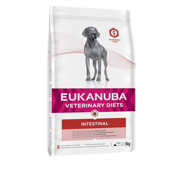 Eukanuba Chien Intestinal Adulte