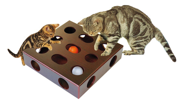 Boîte de jeu pour chat avec balle