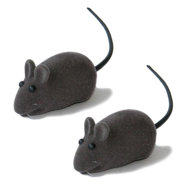 Souris grinçante