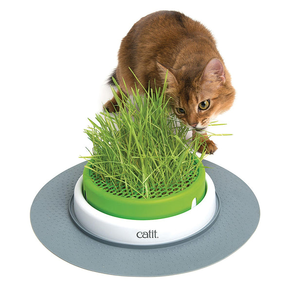 Catit Grass Planter