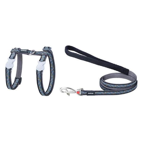 Harness and leash with dots