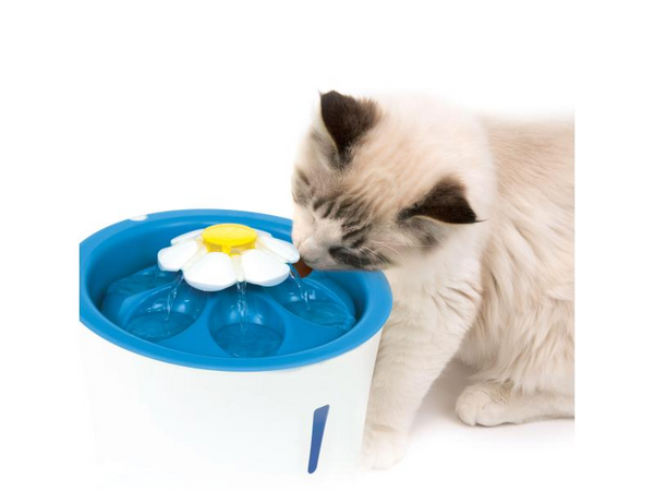 Catit water dispenser