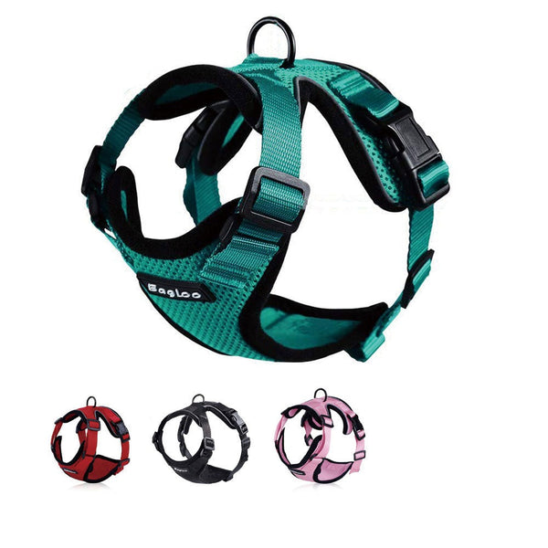 Breathable cat harness with matching leash